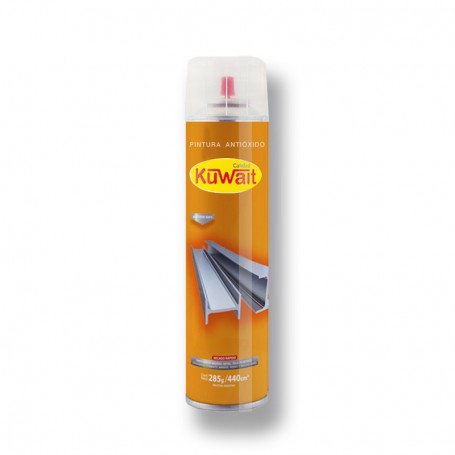 Pint.aerosol Antioxido Gris 240 Cc/155 Gr.. "kuwait" (6)